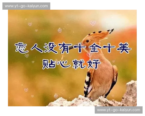 梦之较量：是“十”全十美，还是“一”鸣惊人？